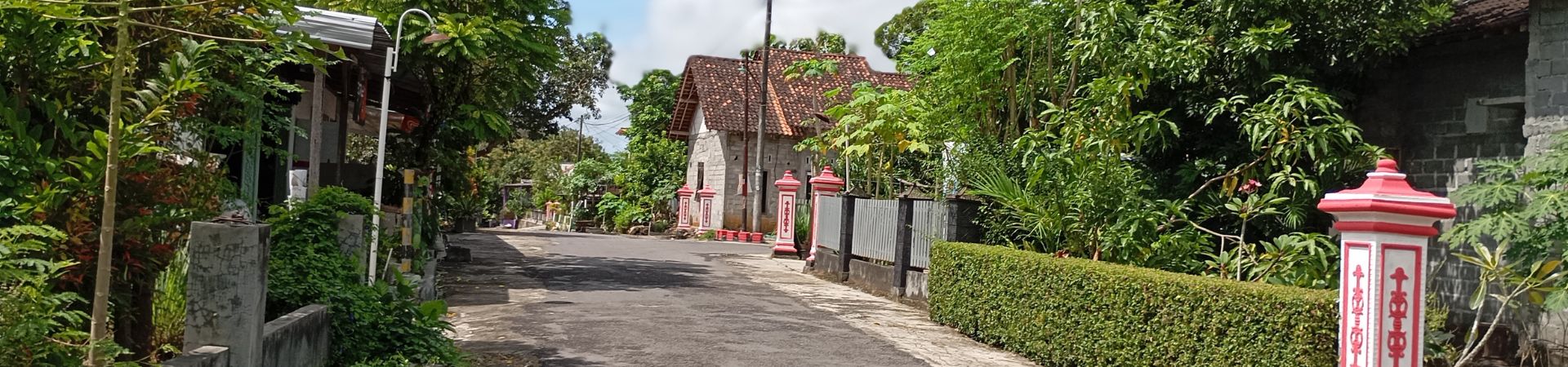 Image of Uncover A Library’s Hidden Gems