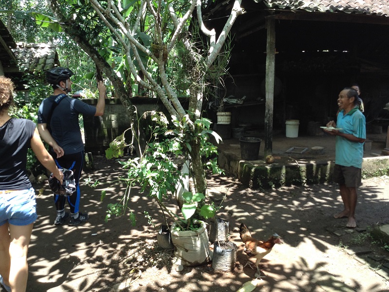 Village Cycling in Bongkasa