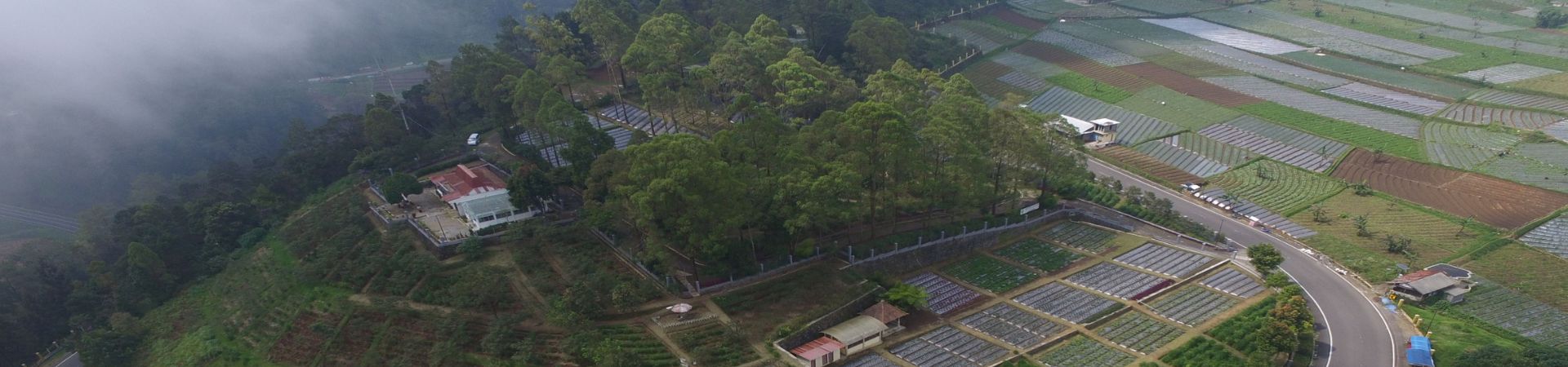 Image of Whispers of Lawu: An Ancestral Wellness Retreat