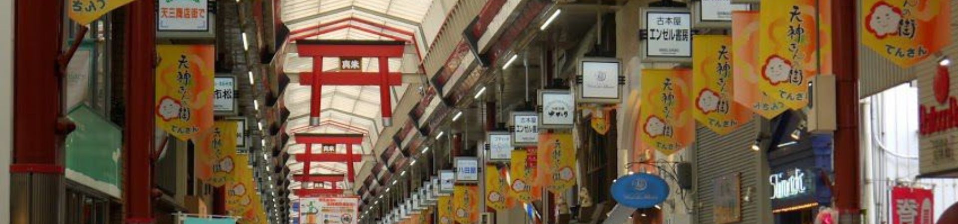 Image of A Delicious Night Walk in Osaka