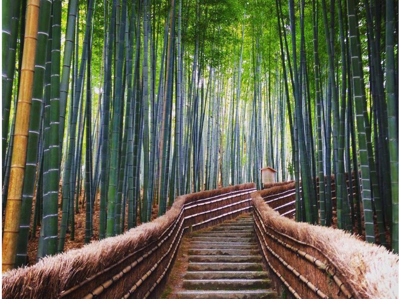 Arashiyama Backroads Walking Tour