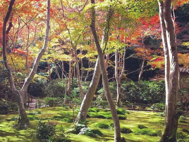 Arashiyama Backroads Walking Tour