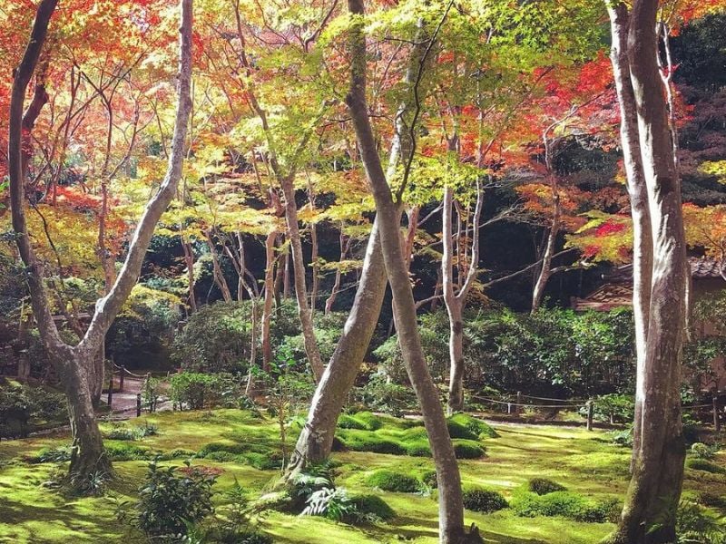 Arashiyama Backroads Walking Tour