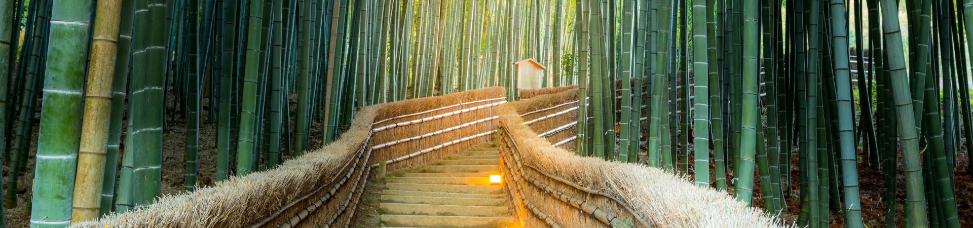 Image of Arashiyama Backroads Walking Tour