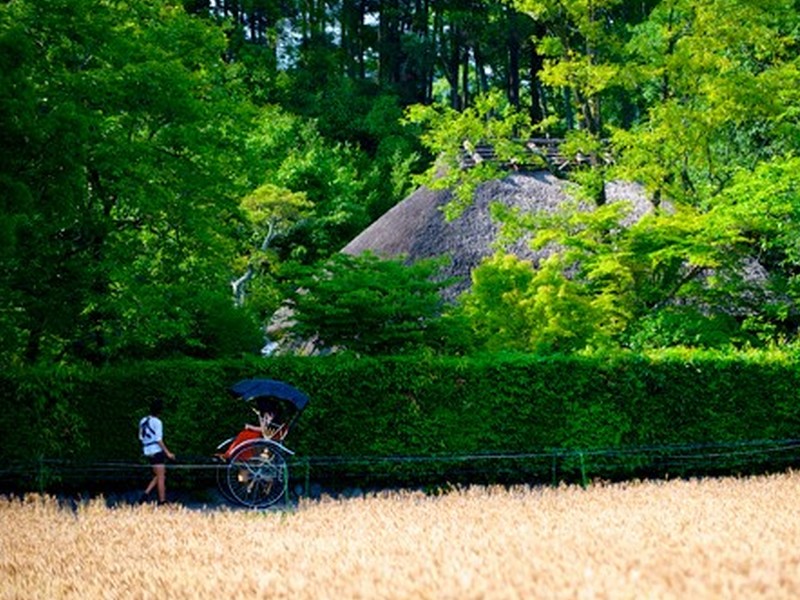 Arashiyama Rickshaw Tour (120-Min Course)