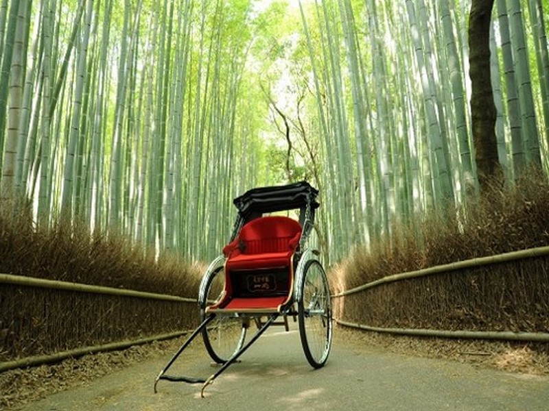 Arashiyama Rickshaw Tour (120-Min Course)