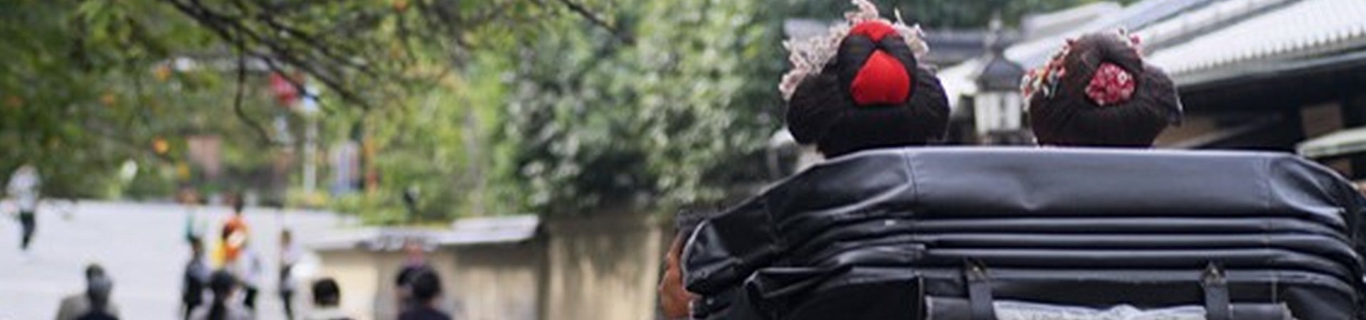 Image of Arashiyama Rickshaw Tour (120-Min Course)