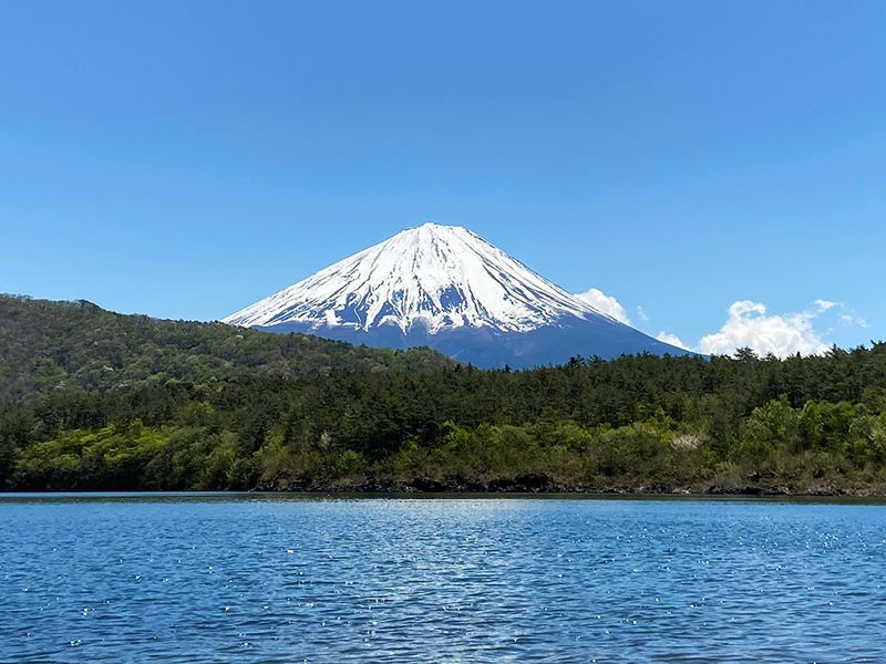 Conservation Hike in the Fuji Foothills
