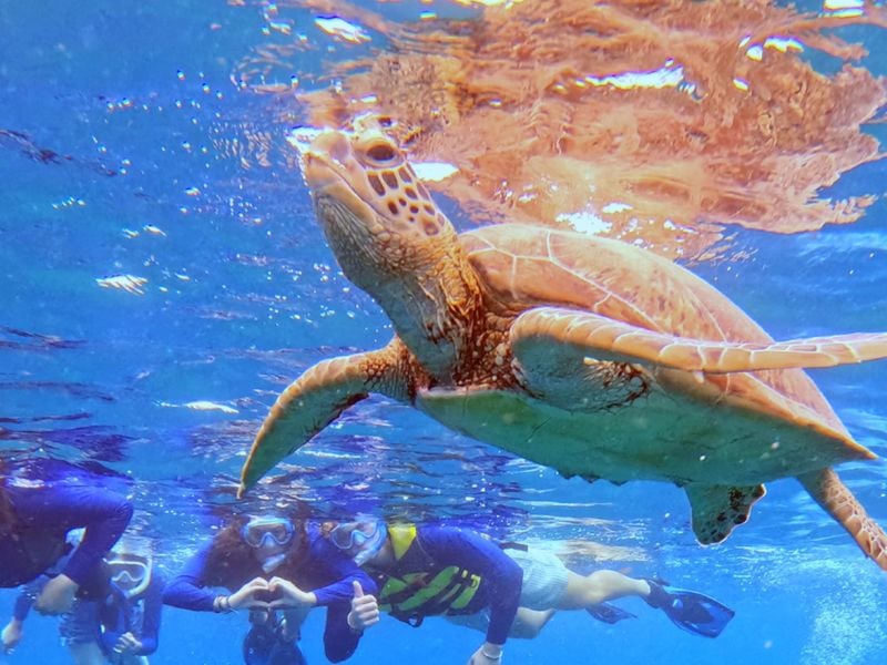 Eco-Conscious Ishigaki Turtle Snorkeling