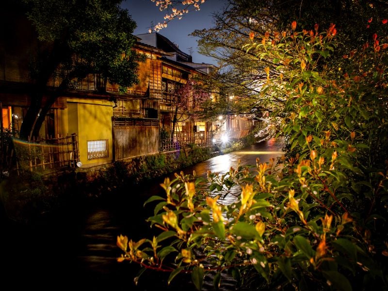 Evening Walk Graceful Geisha and Scenic Streets