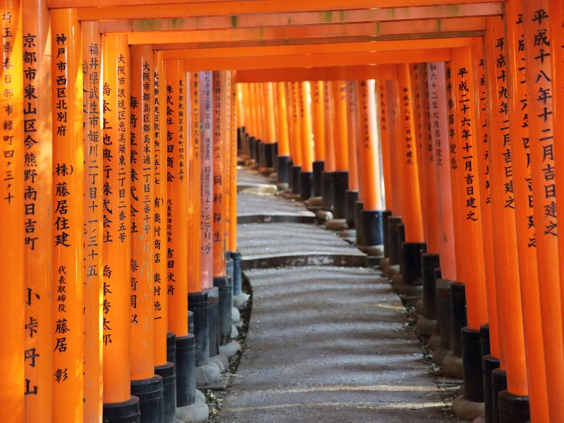 EXO Classics: Cultural Kyoto City Tour