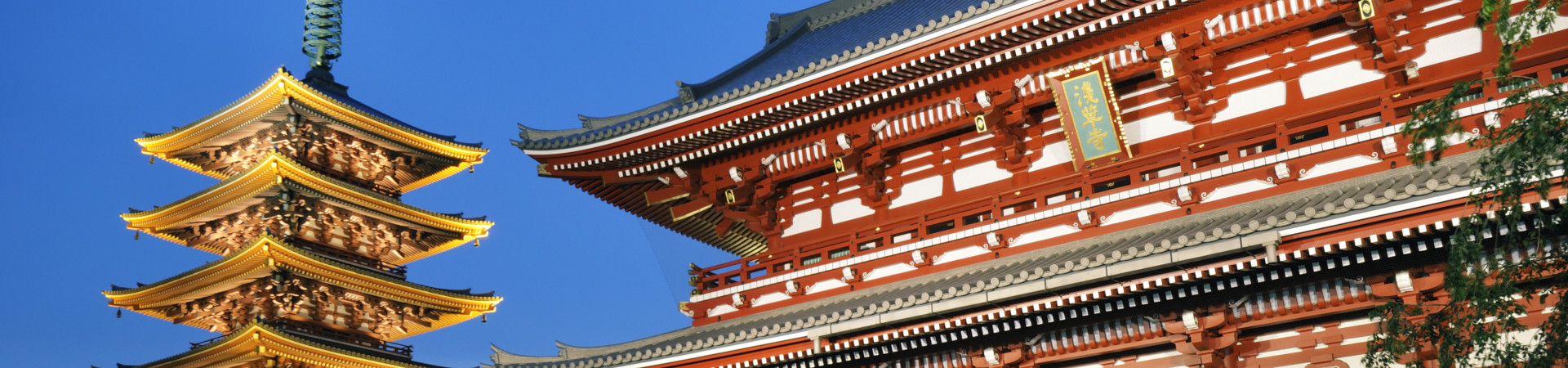 Image of EXO Classics: Iconic Tokyo City Tour