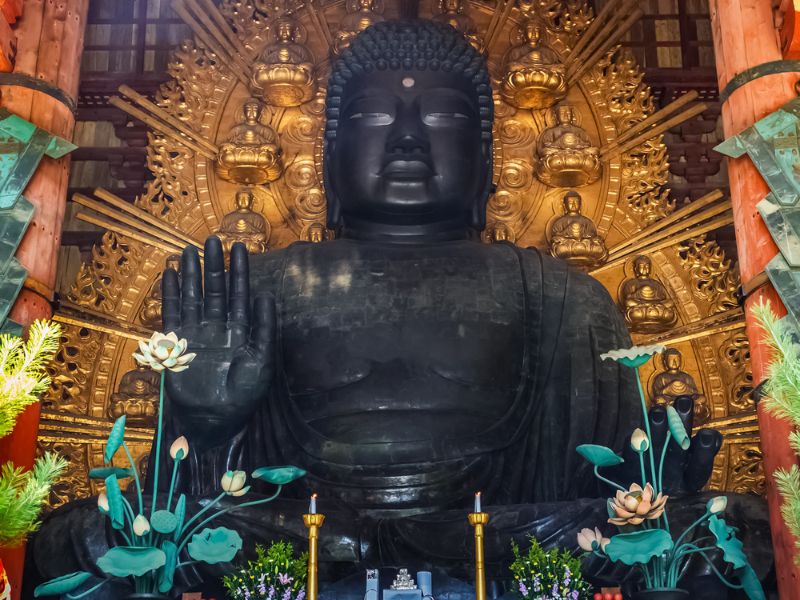 EXO Classics: Nara Full Day Tour