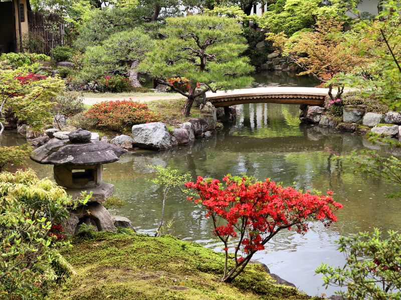 EXO Classics: Nara Full Day Tour