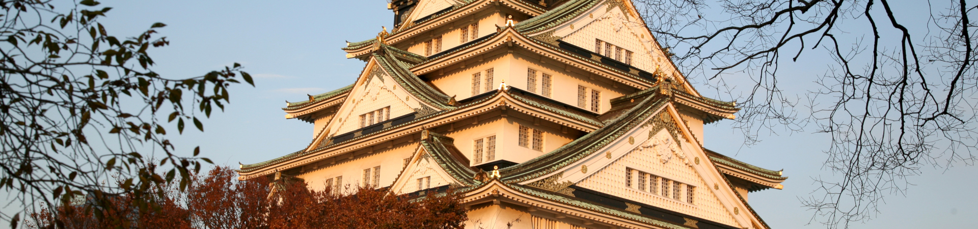 Image of EXO Classics: Osaka City Tour