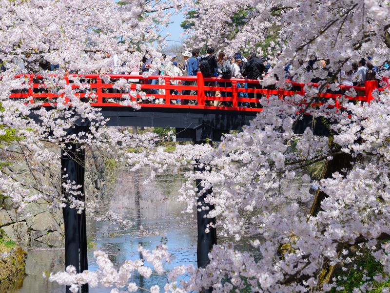 EXO Spirit of Aomori Festivals and Fruit