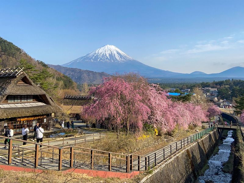 Exploring the Fuji Area by Car