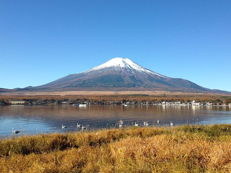 Exploring the Fuji Area by Car