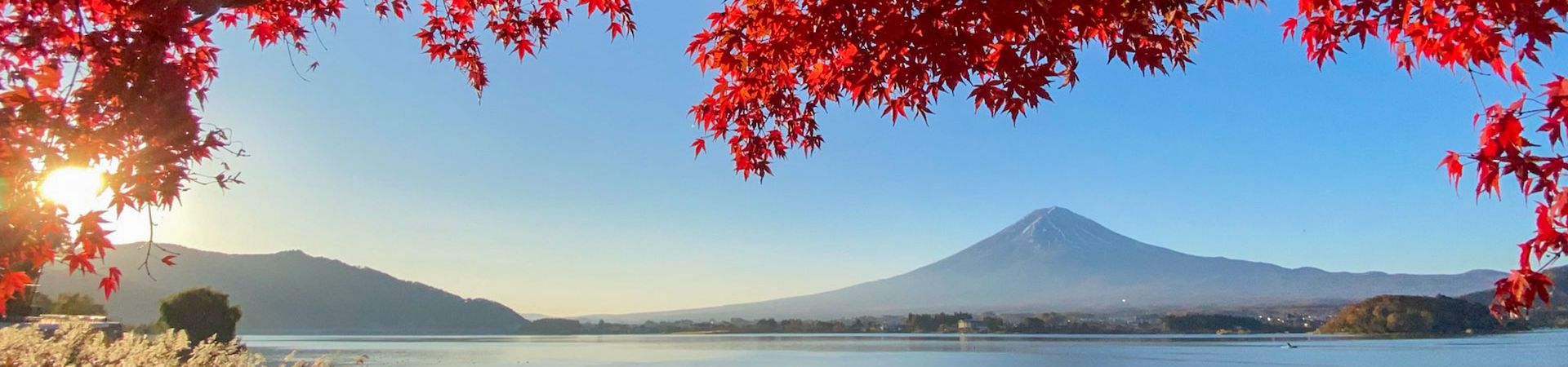 Image of Exploring the Fuji Area by Car