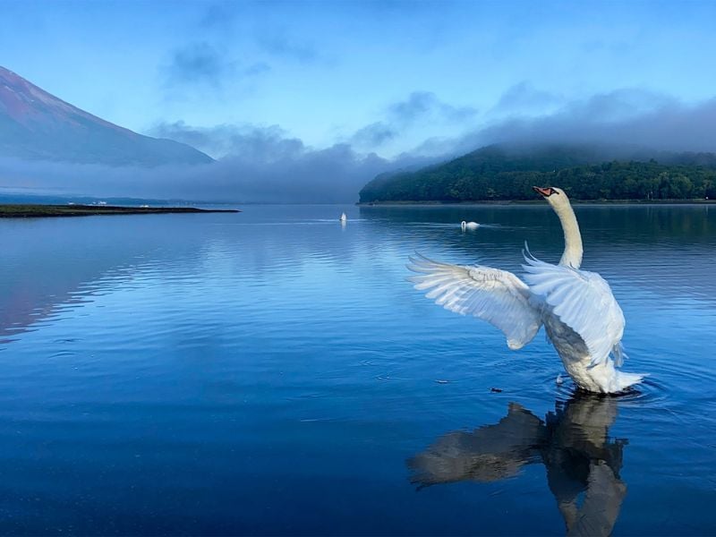 Fuji Hidden Lake Cycling Tour