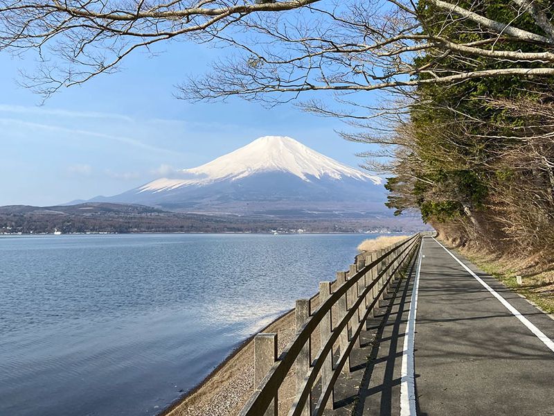 Fuji Hidden Lake Cycling Tour