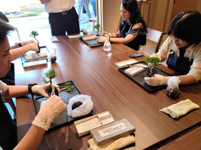 Gardens and Bonsai of Takamatsu