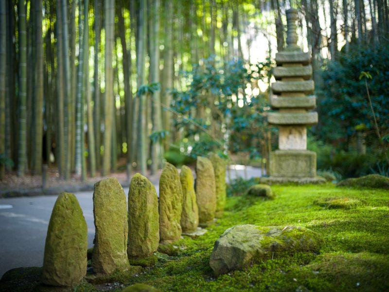Hidden Gardens of Kamakura