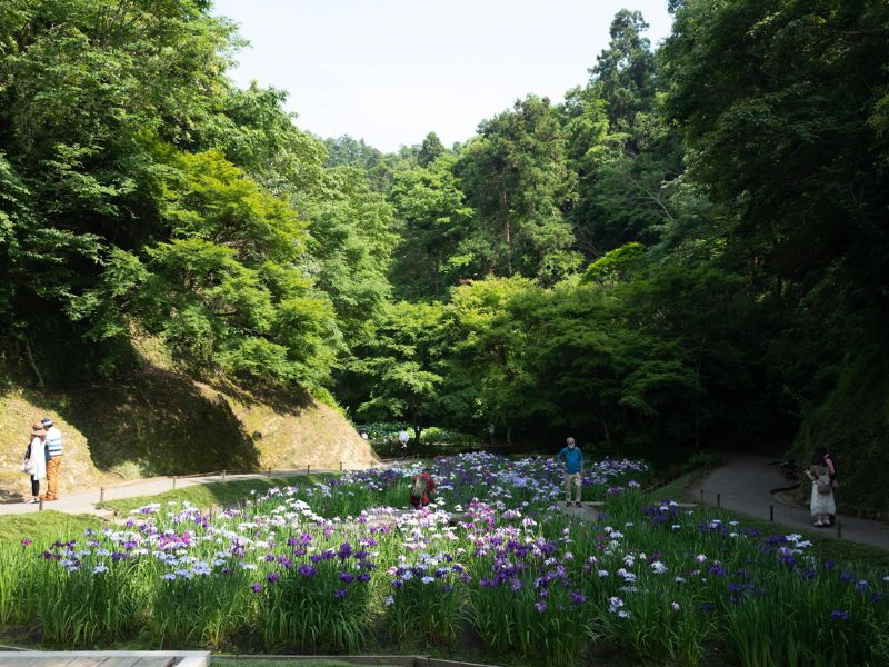 Hidden Gardens of Kamakura