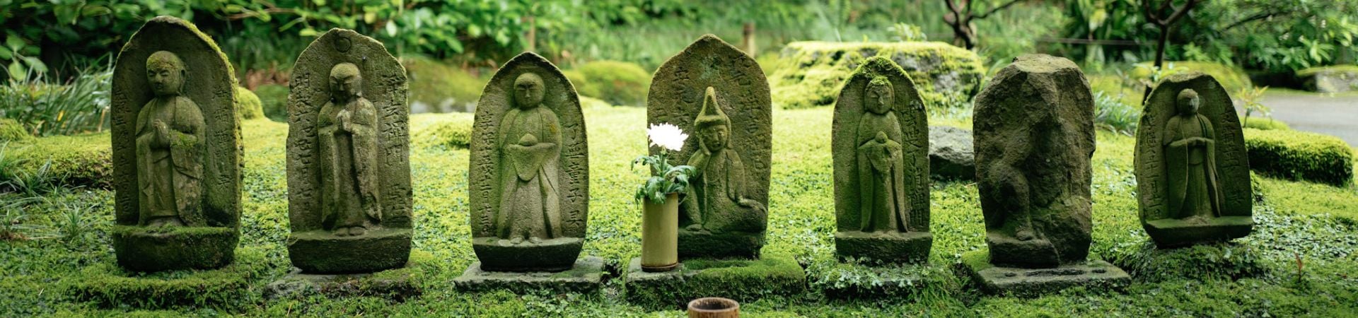 Image of Hidden Gardens of Kamakura