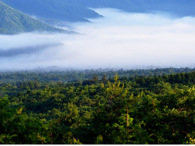 Hidden Wonders of Kawaguchiko