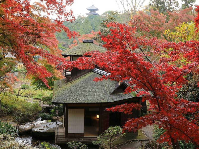 Historical Walking Tour of Yokohama