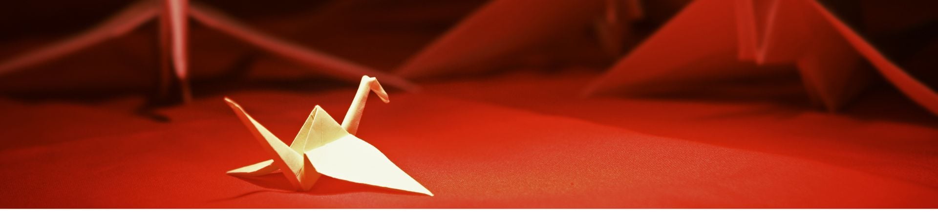 Image of Introduction to Japanese Culture