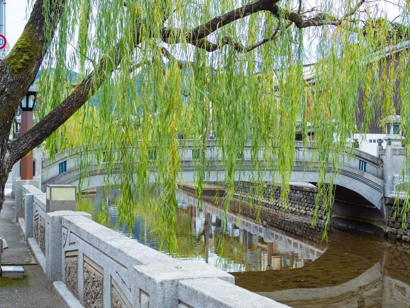 Kinosaki Riverside Cycling Tour