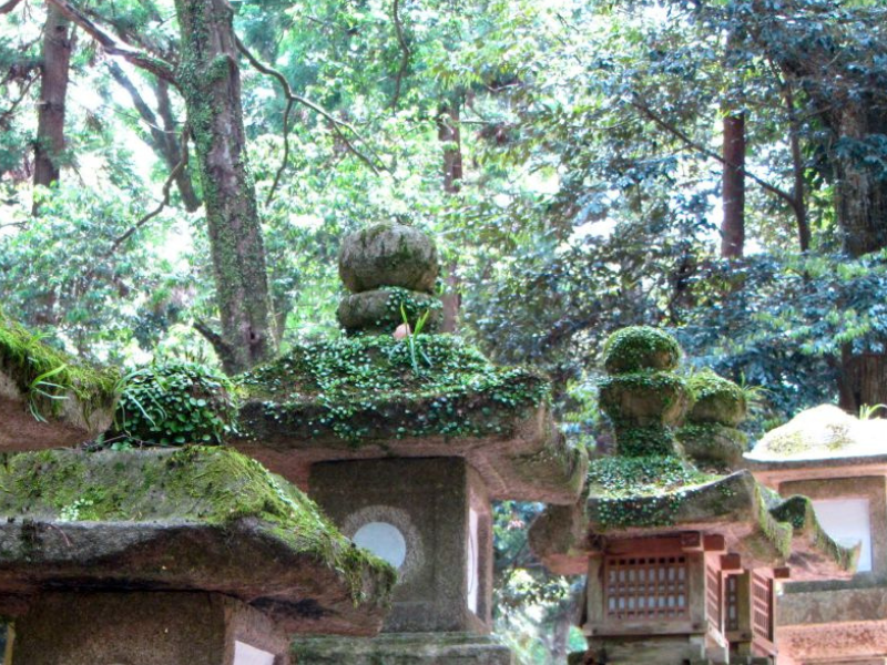 Koyasan: The Holy Mountain
