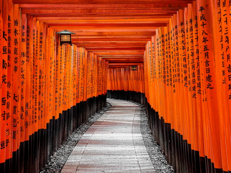 Kyoto Sake Discovery (Shared)