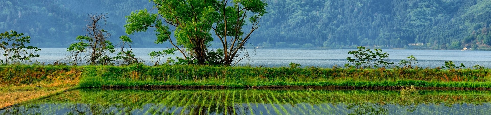 Image of Lake Biwa Mochi-Making and Farm Visit