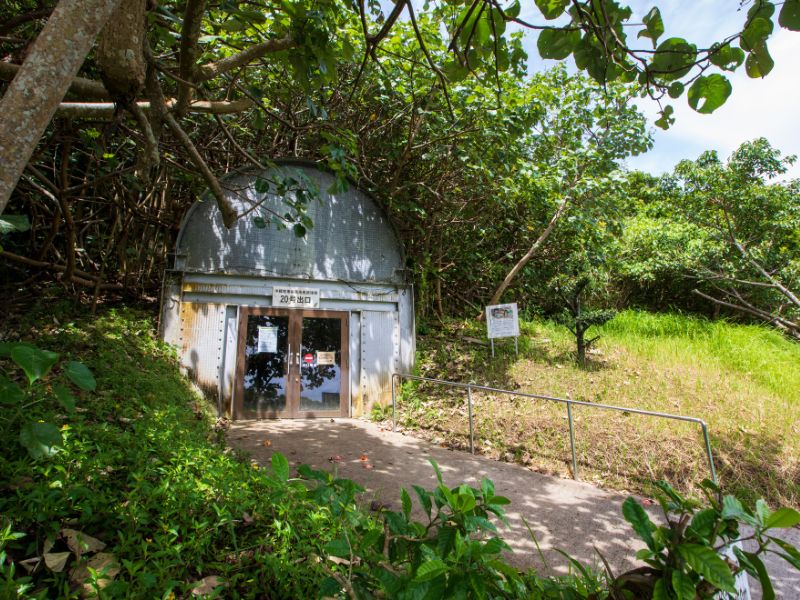 Life During Wartime in Okinawa