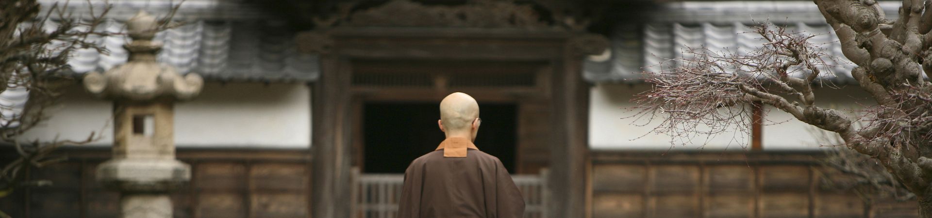 Image of Luxury Serenity in the Hills