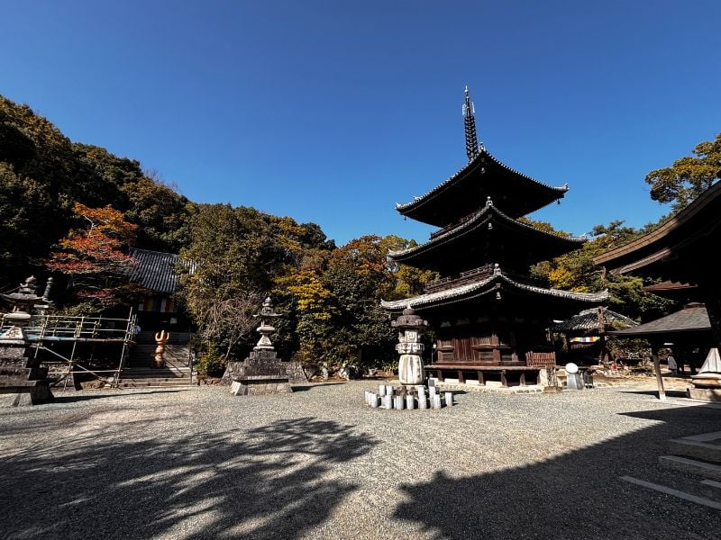 Matsuyama Heritage Day Tour