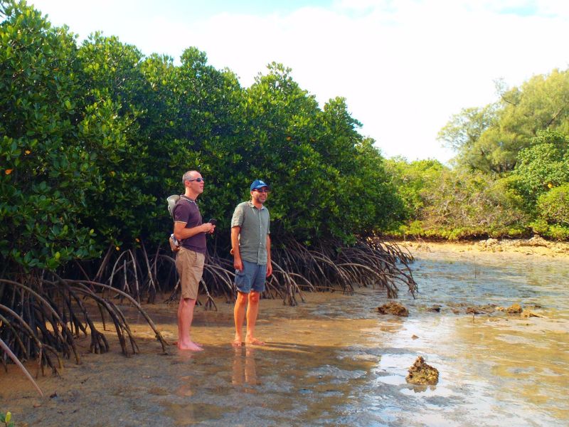 Miyakojima Island Heritage and Ecosystem Tour