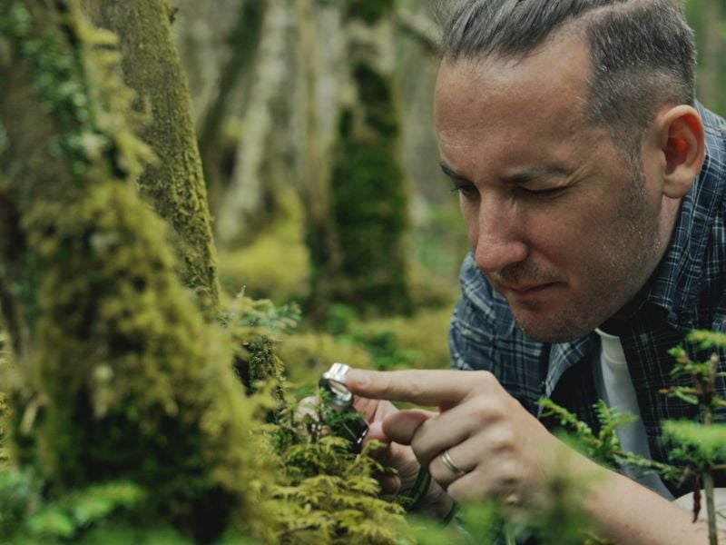 Moss Forest Immersion (Shared)