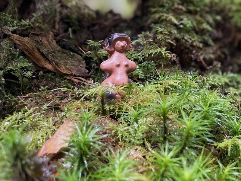 Moss Forest Immersion (Shared)