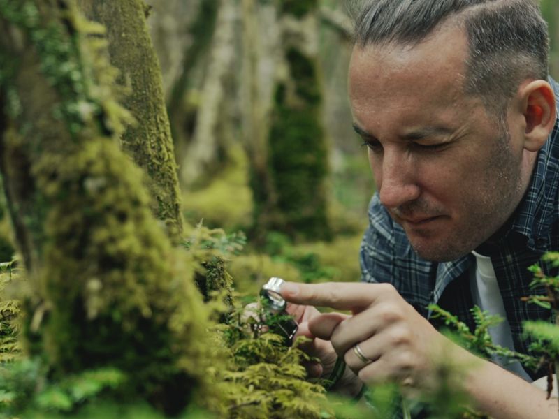 Moss Forest Immersion (Shared)