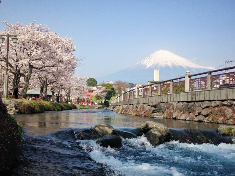 Mt. Fuji Food and Culture Ecotour