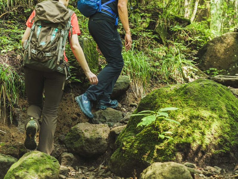 Mt. Kintoki Hiking