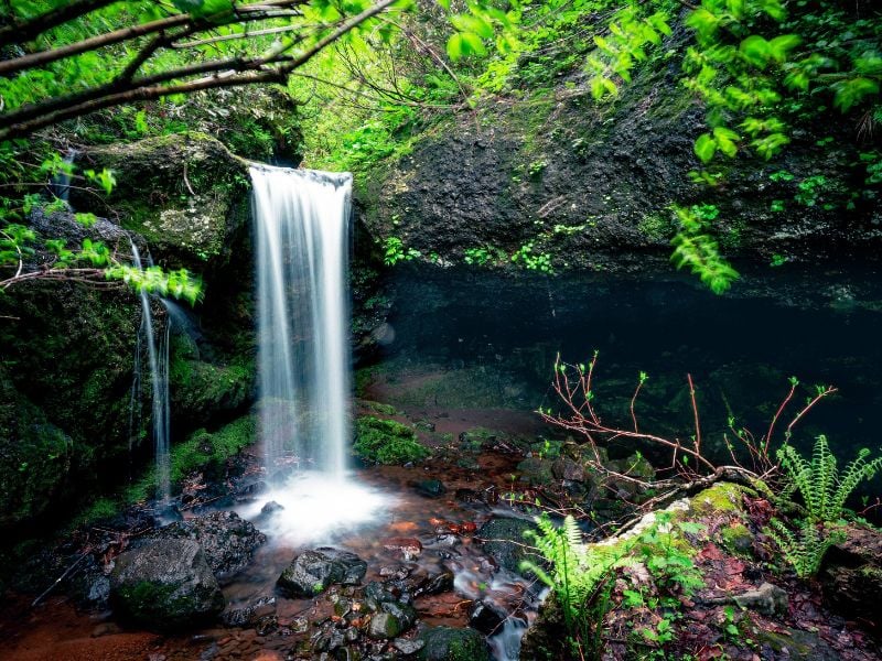 Otaru Secret Waterfall Hike
