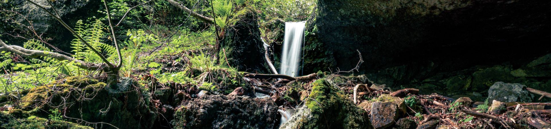 Image of Otaru Secret Waterfall Hike
