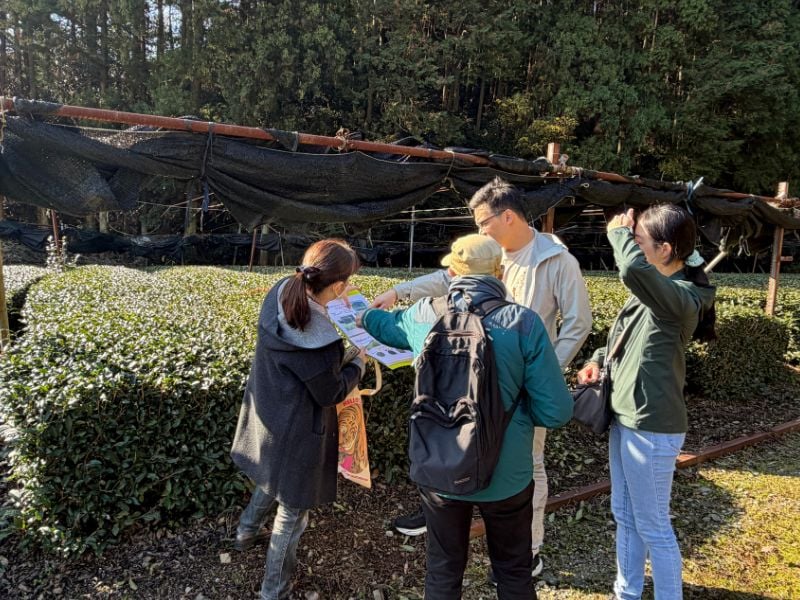 Pedal & Taste: Shizuoka Green Tea Farm Cycling Tour