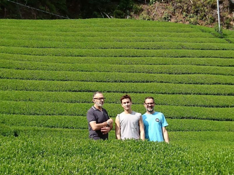 Pedal & Taste: Shizuoka Green Tea Farm Cycling Tour