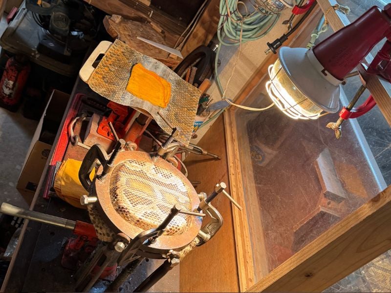 Private Okinawan Ryukyu Music and Crafts Exploration